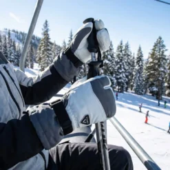 Annox Alpine Leather Ski Gloves