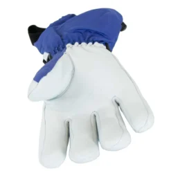 Annox Alpine Leather Ski Gloves