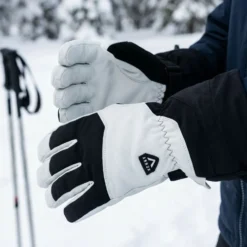 Annox Alpine Leather Ski Gloves