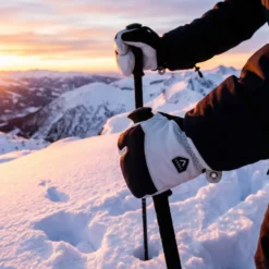 Annox Alpine Leather Ski Gloves