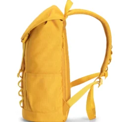 Annox Urban Roll 18L – Water-repellent Backpack With Laptop Compartment And Water Bottle Holder