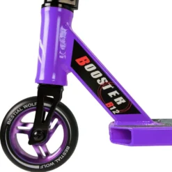 Bestial Wolf Booster B12