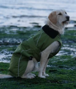 dryrobe® Pro Dog Coat