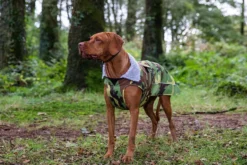 dryrobe® Pro Dog Coat