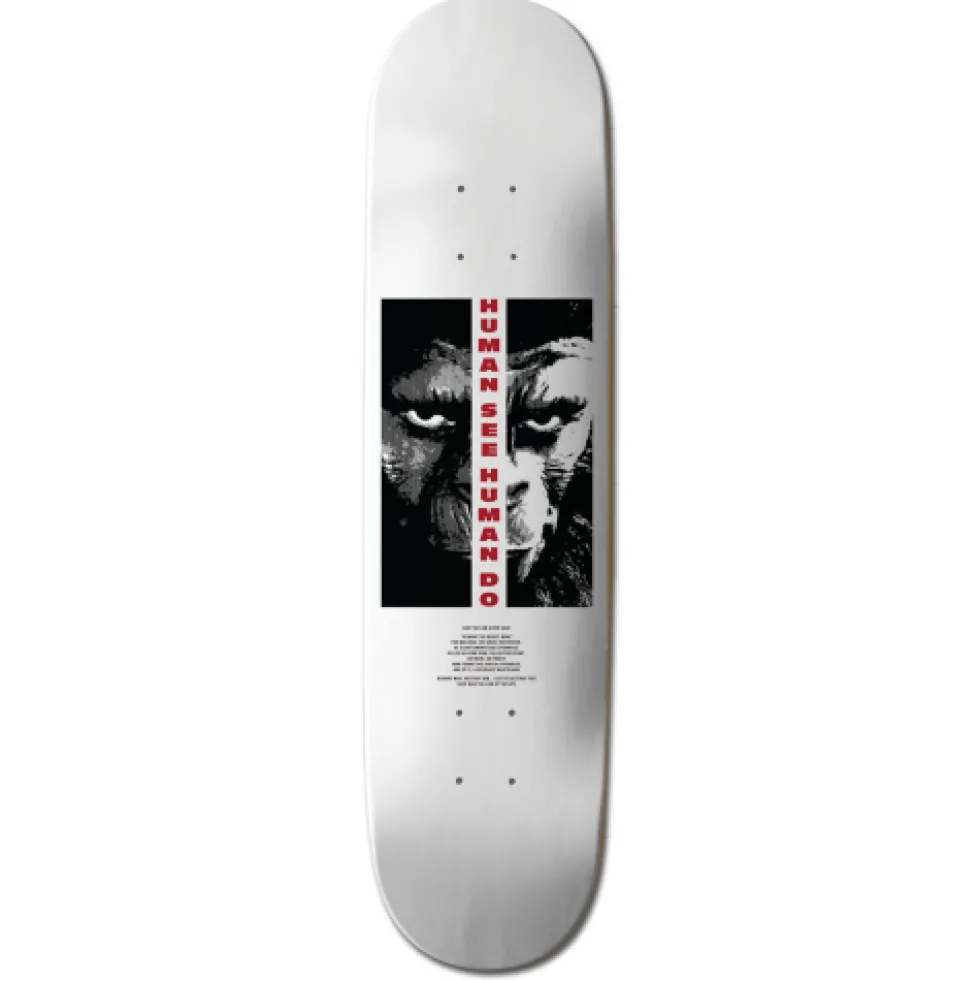 Element Skateboard Decks 8.5"