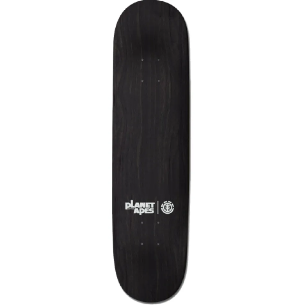 Element Skateboard Decks 8.5"