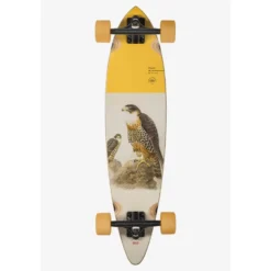 Globe Pintail Falcon Longboard