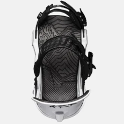 Jones Meteorite Bindings