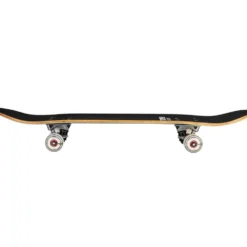 Story Genetic Skateboard