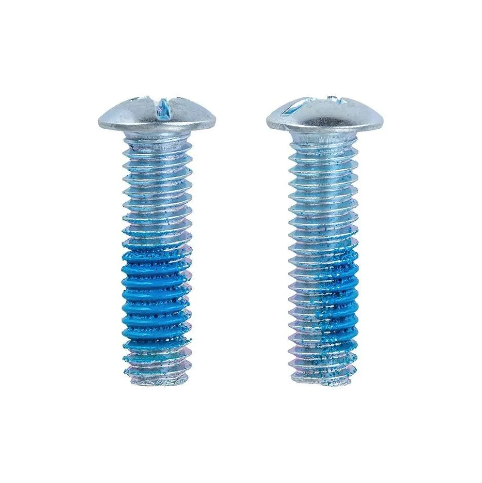 Story Quad Skate Brake Screws