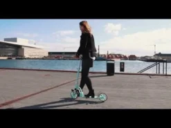Story 70's Foldable Kick Scooter