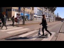 Story Town Adult Kick Scooter