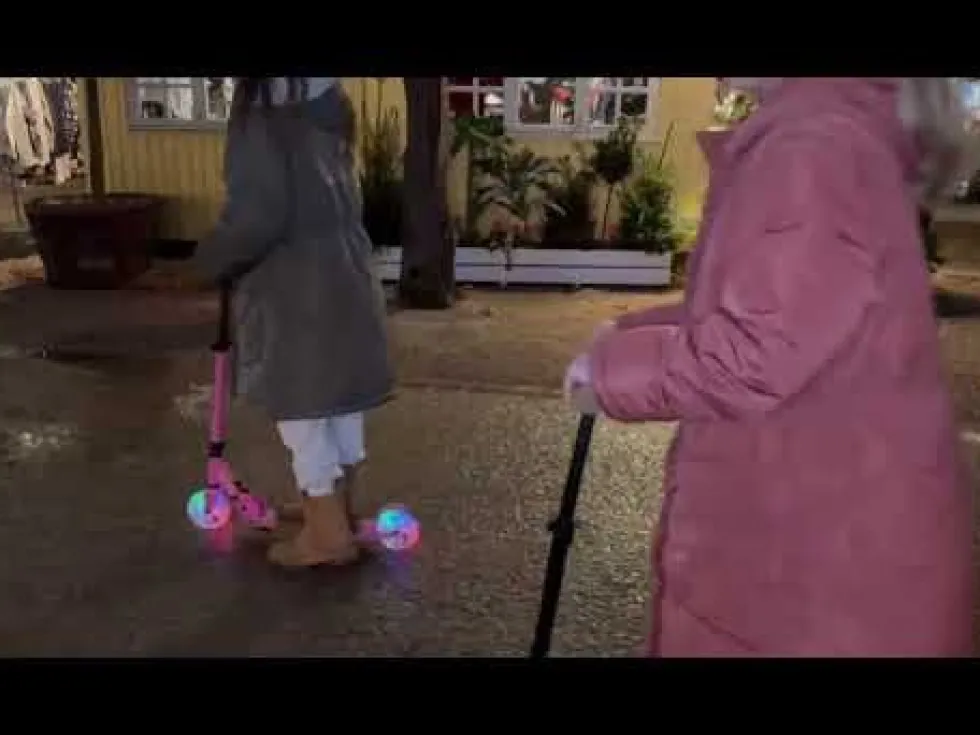 Story Wild Kids Foldable Scooter